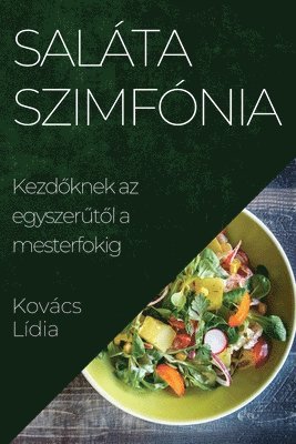 bokomslag Salta Szimfnia