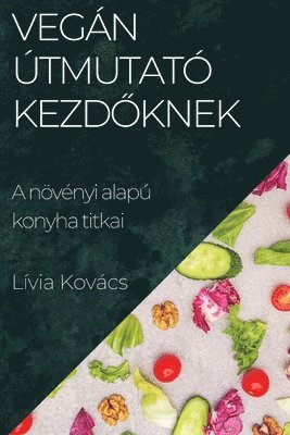 bokomslag Vegn tmutat Kezd&#337;knek