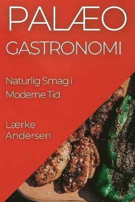 bokomslag Palæo Gastronomi