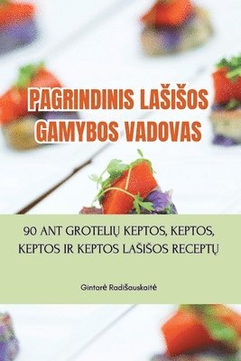 bokomslag Pagrindinis Lasisos Gamybos Vadovas