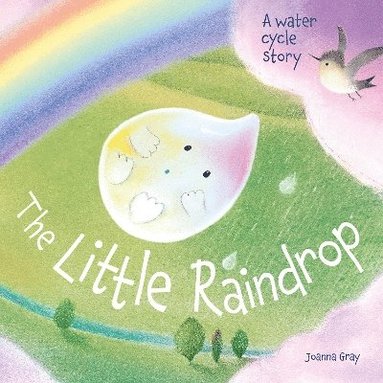 bokomslag The Little Raindrop - A water cycle story