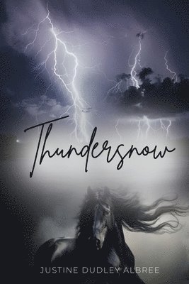 Thundersnow 1