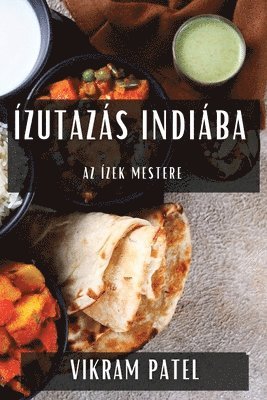 Vikram Patel - Ízutazás Indiába, Häftad