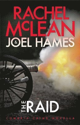 bokomslag Raid