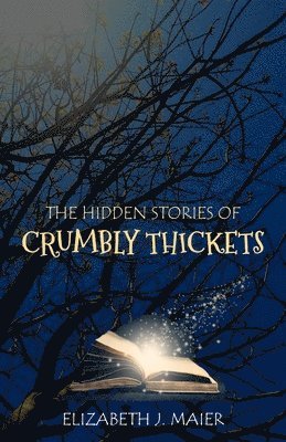 Elizabeth J Maier - Hidden Stories of Crumbly Thickets, Häftad