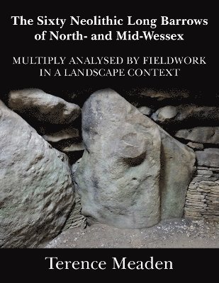 bokomslag Sixty Neolithic Long Barrows of North and Mid-Wessex