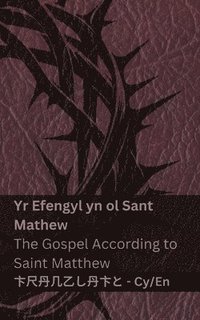 bokomslag Y Beibl (Yr Efengyl yn ol Sant Mathew) / The Bible (The Gospel According to Saint Matthew): Tranzlaty Cymraeg English