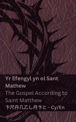 bokomslag Y Beibl (Yr Efengyl yn ol Sant Mathew) / The Bible (The Gospel According to Saint Matthew)