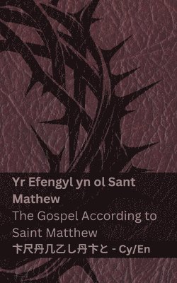 Y Beibl (Yr Efengyl yn ol Sant Mathew) / The Bible (The Gospel According to Saint Matthew) 1