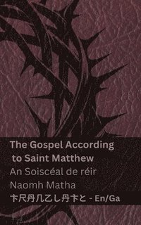 bokomslag The Bible (The Gospel According to Saint Matthew) / An Bíobla (An Soiscéal de réir Naomh Matha): Tranzlaty English Gaeilge