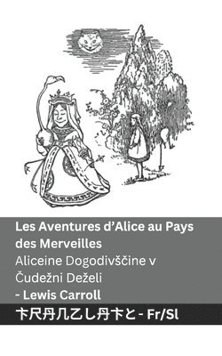 bokomslag Les Aventures d'Alice au Pays des Merveilles / Aliceine Dogodivs?ine v ?udezni Dezeli