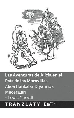 bokomslag Las Aventuras de Alicia en el País de las Maravillas / Alice Harikalar Diyar&#305;nda Maceralar&#305;: Tranzlaty Español Türkçe