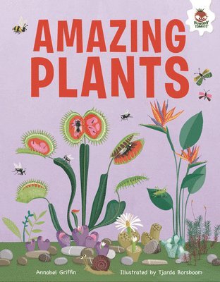 Amazing Plants: An Illustrated Guide 1