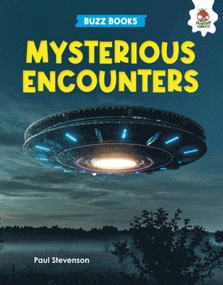 Mysterious Encounters 1
