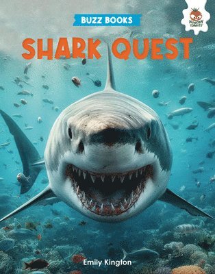 Shark Quest 1