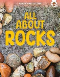 bokomslag Earth's Detectives: All About Rocks