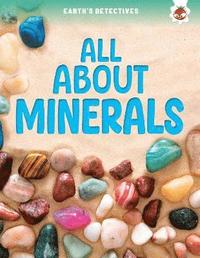 bokomslag Earth's Detectives: All About Minerals