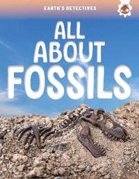 bokomslag Earth's Detectives: All About Fossils