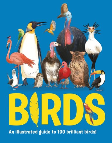 Eliza Jeffery - Birds, Inbunden