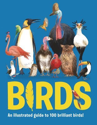 Eliza Jeffery - Birds: An Illustrated Guide to 100 Amazing Birds, Inbunden