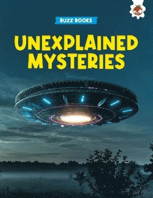 bokomslag Unexplained Mysteries