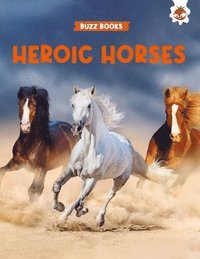 bokomslag Heroic Horses