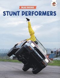 bokomslag Stunt Performers