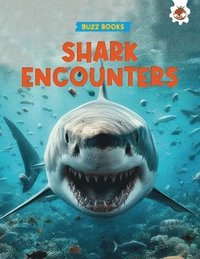 bokomslag Shark Encounters