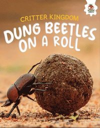 bokomslag Dung Beetles on a Roll