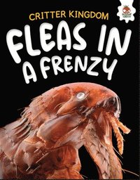 bokomslag Fleas in a Frenzy