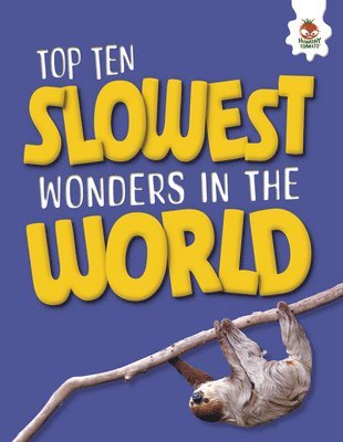 bokomslag Top Ten Slowest Wonders in the World