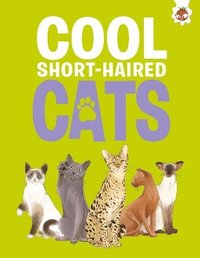 bokomslag Cool Short-Haired Cats