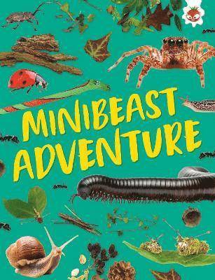 Minibeast Adventure 1