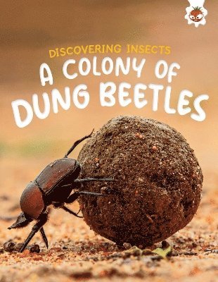 bokomslag Discovering Insects: A Colony of Dung Beetles