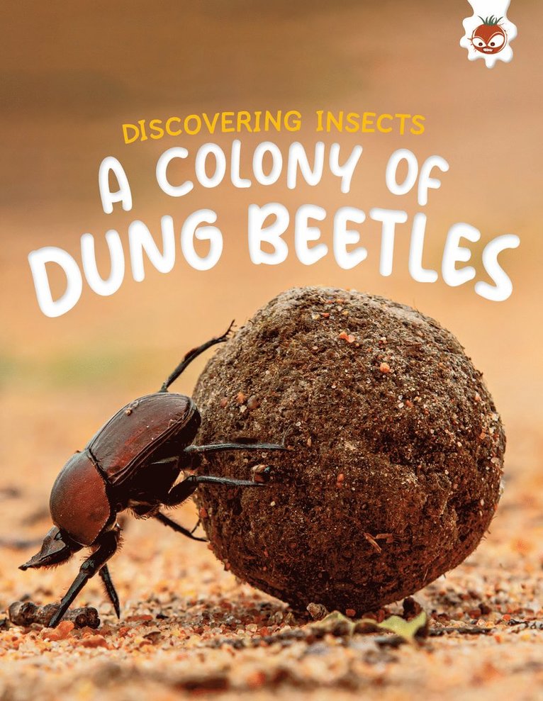 Rebecca Storm - Discovering Insects: A Colony of Dung Beetles, Häftad