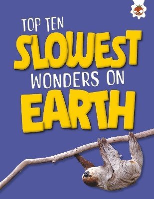 bokomslag Top Ten Slowest Wonders on Earth