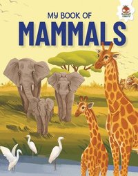 bokomslag My Book of Mammals