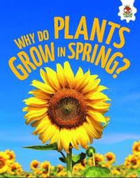 bokomslag Young Science Seekers: Why Do Plants Grow in Spring?
