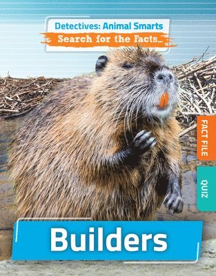 Anne O'Daly - Builders, Inbunden