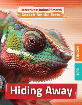 Anne O'Daly - Hiding Away, Inbunden