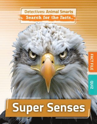 Anne O'Daly - Super Senses, Inbunden