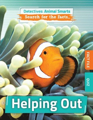 Anne O'Daly - Helping Out, Häftad