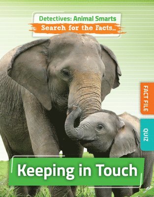 Anne O'Daly - Keeping in Touch, Häftad