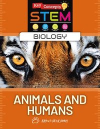bokomslag Animals and Humans