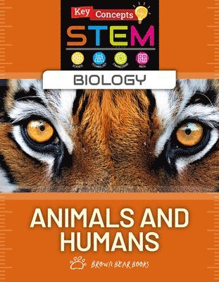bokomslag Animals and Humans