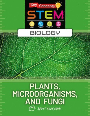 bokomslag Plants, Microorganisms, and Fungi
