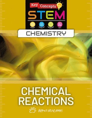 bokomslag Chemical Reactions