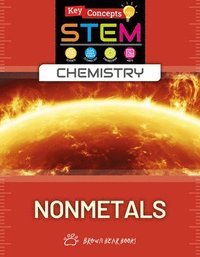 bokomslag Nonmetals