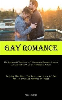 bokomslag Gay Romance