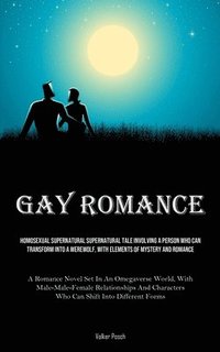 bokomslag Gay Romance